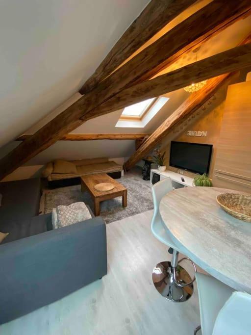 Gap : Centre Ville : Appartement Cosy Zewnętrze zdjęcie