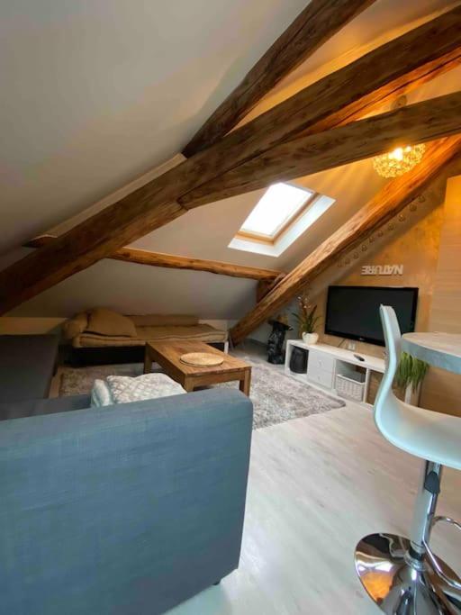 Gap : Centre Ville : Appartement Cosy Zewnętrze zdjęcie